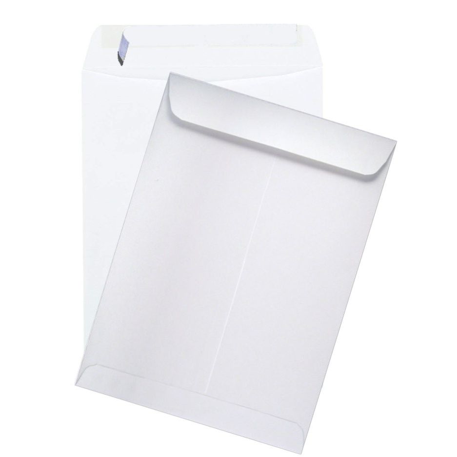 Business Source Heavy Duty Gummed Seal Catalog Envelopes - Catalog - 9" Width x 12" Length - 28 lb - Gummed - 250 / Box - White