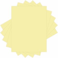 Copy & Multi-use Paper