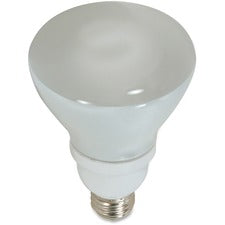 Lamps & Lighting