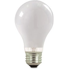 Lamps & Lighting
