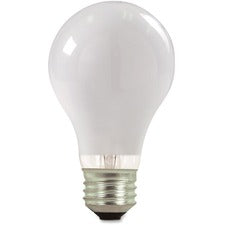 Lamps & Lighting