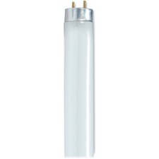 Lamps & Lighting