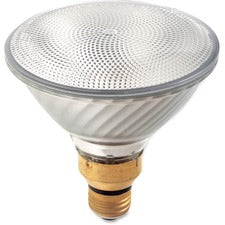 Lamps & Lighting