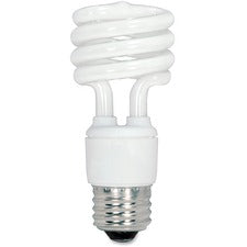 Lamps & Lighting