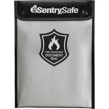 Sentry Safe Carry Bag